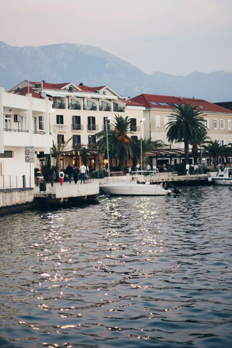 Porto Montenegro, Porto