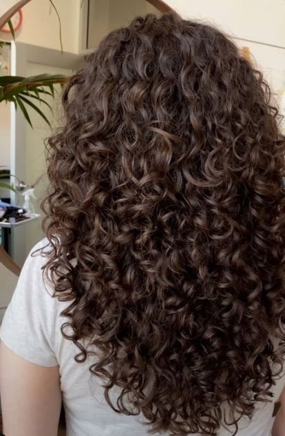 Layers On Brunette Hair, Chocolate Brown Short Curly Hair, Non Frizzy Curly Hair, Curly Hairstyles With Short Hair, Chestnut Brown Highlights Curly Hair, Waist Length Curly Hair Natural, Perm Curl Sizes, Hazelnut Brown Curly Hair, Curly Brown Hair Styles