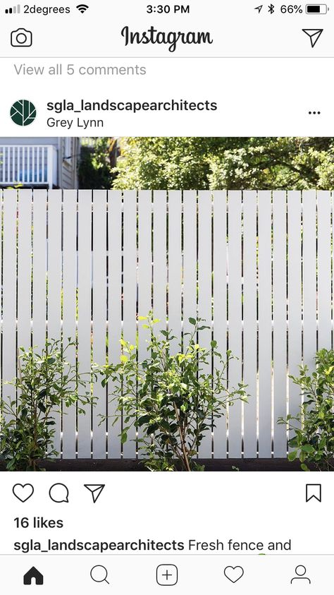 Picket Fence Front Yard Australia, White Picket Pool Fence, Short White Picket Fence Front Yard, White Picket Fence Driveway Gate, Lawn Free Yard, White Picket Fence Front Yard Cottage, Picket Gate, House Fence Design, White Fence