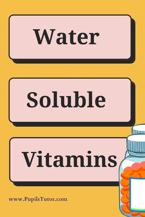 Which Are Water Soluble Vitamins?  - Health and Physical Education - Notes And Study Material in English Medium for B.Ed First Year, Second Year, 1st 2nd 3rd 4th 5th 6th Semester Free Download PDF,PPT, Assignment , File - pupilstutor.com Water Soluble Vitamins, Study Exam, Exam Notes, What Is Water, Decrease Appetite, Grape Apple, Sour Fruit, Health And Physical Education, Values Education