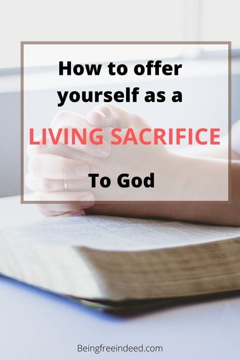 God does not require animal sacrifice from us anymore since Jesus Christ offered himself once and for all. We are encouraged by Paul in Romans 12:1-2 to offer our bodies as a living sacrifice to God which is our reasonable service. This blog post talks about what is meant by sacrifice and how we can sacrifice our bodies to God as a living sacrifice. |spiritual growth |Christianity |offering yourself |christian living What Is Sacrifice, Living Sacrifice Scripture, Animal Sacrifice, Women Retreat, Living Sacrifice, Youth Lessons, Romans 12 1, Jesus Sacrifice, Faith Scripture