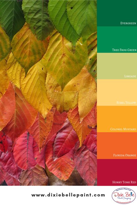 Leaves Color Palette, Yarn Color Combinations, Dixie Belle Paint Company, Florida Oranges, Color Palette Challenge, Color Rush, Color Palette Pink, Gold Digger, Tree Frog