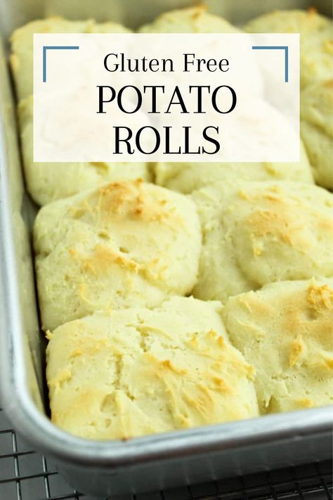 Fall Recipes Gluten Free, Potato Buns Recipe, Sourdough Gluten Free, Gluten Free Potato Bread, Recipes Gluten Free Dairy Free, Potato Bread Recipe, Potato Buns, Gluten Free Rolls, Gluten Free Info