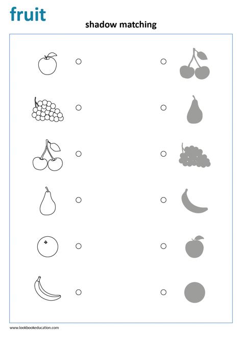 Worksheet Count and Match Fruit - LookbookEducation.com Matching Shadows Preschool, Match The Fruits Worksheet, Fruits Matching Worksheet, Fruit Worksheets Preschool, Fruits Worksheets For Kindergarten, Shadow Preschool, Fruit Preschool, Fruit Worksheet, Kindergarten Math Worksheets Counting