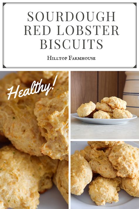 Sourdough Discard Cheddar Biscuits, Sourdough Red Lobster Biscuits, Sourdough Cheddar Bay Biscuits, Sourdough Cheddar Biscuits, Frugal Pantry, Sourdough Ideas, Dough Starter Recipe, Garlic Cheddar Biscuits, Lobster Biscuits