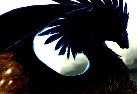 Feathered dragon Black Feathered Dragon, Feathered Dragon, Oc Board, Black Feathers, Dragon Art, Fantasy Creatures, Art Ideas, Fantasy Art, Batman