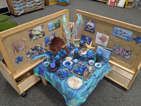 Ocean Centers, Reggio Amelia, Kindergarten Prep Activities, Provocations Reggio, Science Table, Childcare Rooms, Reggio Inspired Classrooms, Reggio Emilia Inspired, Sea Activities