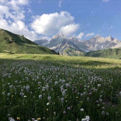 Mountain Meadow Aesthetic, Nature Icons Aesthetic, Meadow Core, Dolomites Aesthetic, Mountain Core, Countryside Mountains, Meadow Aesthetic, Alps Mountains, Summer Wildflowers