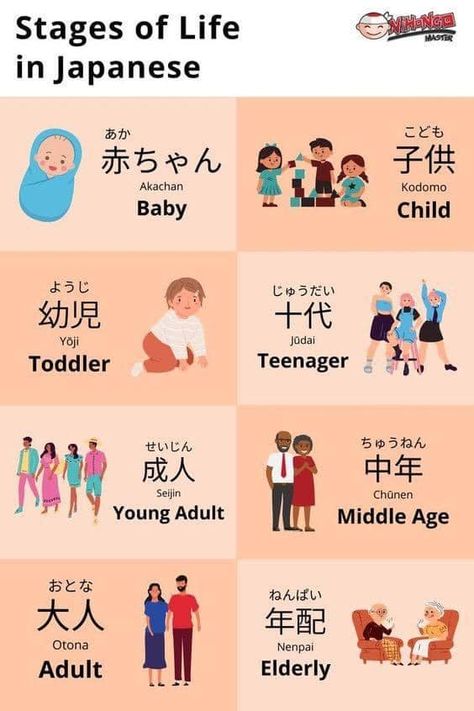 Beginners Japanese | Stages of life in Japanese | Facebook Japanese Library, Japanese Beginner, Learn Japanese Beginner, Learn Basic Japanese, Japanese Sentences, Learn Japan, Basic Japanese, Bahasa Jepun, Materi Bahasa Jepang