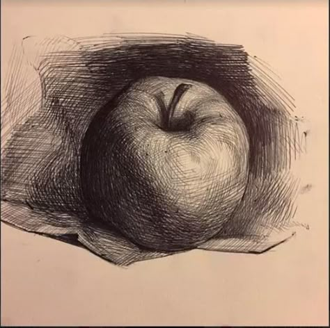 Academic Drawing, Fruits Drawing, Art Basics, Still Life Drawing, Arte Sketchbook, Pencil Art Drawings, Still Life Art, Chiaroscuro, Book Art Drawings