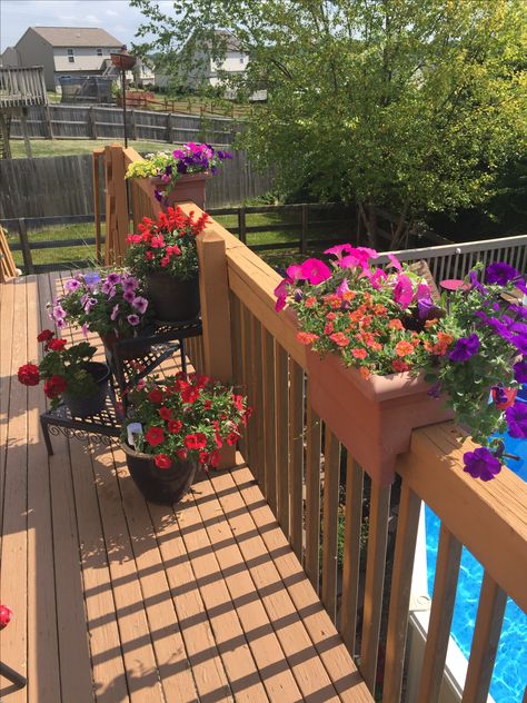 Flower Deck Ideas, Deck Flowers Ideas, Deck Flowers, Summer Deck, Deck Decorating, Garden Containers, Backyard Landscaping Designs, Backyard Landscaping, Garden Plants