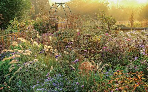 Fall Cottage Garden, Autumn Cottage Garden, Garden Hardscape, African Garden, Planting Combinations, Fine Gardening Magazine, Seaside Garden, Chicago Botanic Garden, Landscape Inspiration