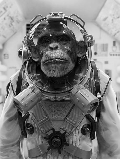 A space monkey... - 9GAG Monkey In Space, Astronaut Art, Creation Art, Monkey Art, Arte Robot, Space Tattoo, Poster Photo, A Monkey, Space Suit