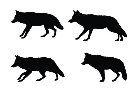 Wild coyote silhouette collection vector Illustration Coyote Silhouette, Professional Design, Animal Heads, Wild And Free, Design Assets, Cyberpunk, Vector Illustration, Tattoos, Animals