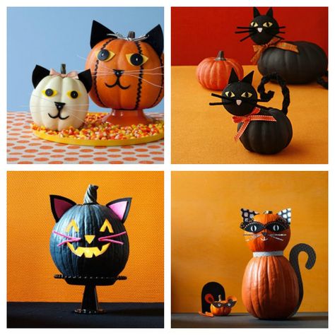 Painted Cat Pumpkin Ideas, Pumpkin Painting Cat Ideas, Painted Cat Pumpkin, Cat Pumpkin Painting Ideas, Cat Pumpkin Decorating, Kitty Pumpkin Painting, Cat Painted Pumpkin, Pumpkin Cat Painting, Cat Pumpkin Painting