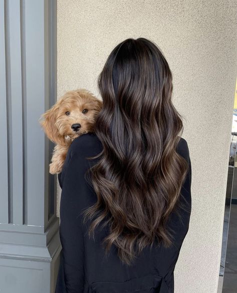 Brush Curling, Hair Straightener Brush, Black Hair Balayage, Straightener Brush, Dark Brunette Hair, Curling Brush, Brown Hair Looks, Brown Hair Inspo, Ionic Hair Dryer