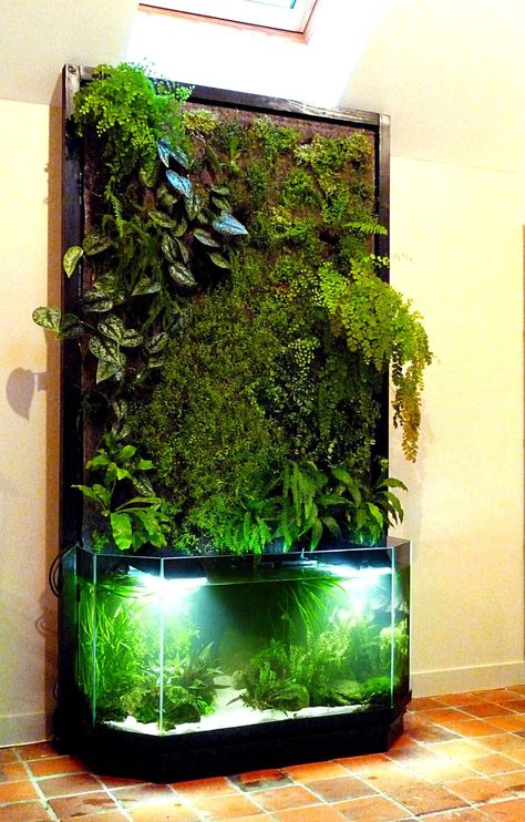 Aqua Ponics, Indoor Nature, Amazing Aquariums, Taman Air, Indoor Water Garden, Aquarium Terrarium, Aquascape Aquarium, Plants Growing, Home Aquarium