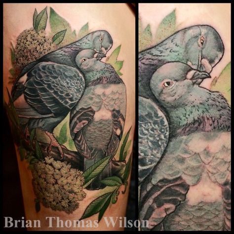 pigeons! Fisherman Tattoo, Vegan Tattoos, Pigeon Tattoo, Pigeon Hole, Aesthetic Animals, Wood Pigeon, Vegan Tattoo, Upper Arm Tattoos, Crossfit Workout