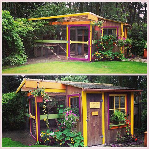 Colourful Chicken Coop, Chicken Coop Colors Scheme, Colorful Chicken Coop, Cute Chicken Coops, Portable Chicken Coop, Chicken Coup, Coop Plans, Keeping Chickens, Building A Chicken Coop