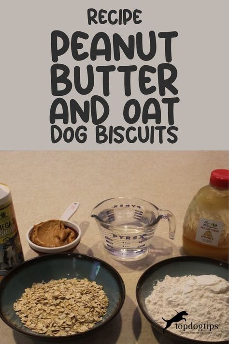 Recipe: Peanut Butter and Oat Dog Biscuits Doggie Biscuits Recipes, Dog Biscuits Homemade Peanut Butter, Puppy Biscuits Homemade, Oat Dog Treats Homemade, Home Made Dog Biscuits Recipes, Homemade Dog Biscuits Recipe, Peanut Butter And Oats Dog Treats, Doggie Cookies Recipe, Dog Biscuits Homemade Easy