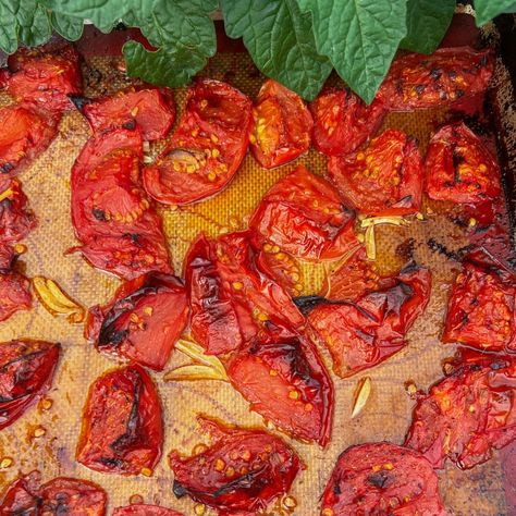 How to Roast Tomatoes in the Oven for Sauce or Toppings Roasting Tomatoes In Oven, Tomatoes In Oven, How To Roast Tomatoes, Roasting Tomatoes, Roasted Red Peppers Recipes, Roast Tomatoes, Red Pepper Recipes, Tomatoes Roasted, Focaccia Pizza