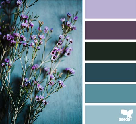 Cherry Palette, Design Seed, Palette Design, Color Dream, Color Schemes Colour Palettes, Sea Design, Design Seeds, Color Palette Design, Bathroom Office