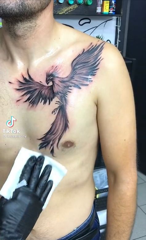 Phoenix On Chest Tattoo, Phoenix Tattoo Chest For Men, Phoenix Chest Tattoo Female, Phoenix Tattoo Chest, Pheonix Tattoo Male, Phoenix Chest Tattoo, Phoenix Tattoo Men, Phoenix Tattoo For Men, Fenix Tattoo