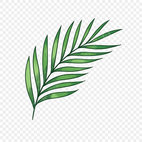 Fern Clipart, Palm Leaf Vector, Leaf Clip Art, Tropical Flower Tattoos, Palm Background, Palm Leaf Plant, Greenery Clipart, Leaf Png, Logo Foto