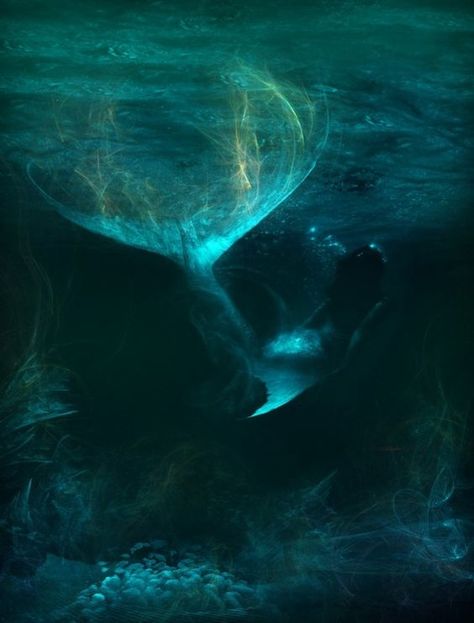 Dark Art Of Mermaids & Other Sea Folk – Celebrating the strange and the shadowy, the damned and unseen Water Fairy, Siren Mermaid, Water Spirit, Real Mermaids, Mermaid Tale, Ange Demon, Mermaid Aesthetic, Mermaid Dreams, Mermaids And Mermen