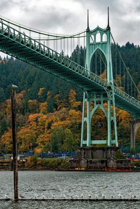 Portland Bridges, Bristol Bridge, Ashness Bridge, Indiana Covered Bridges, Bristol Suspension Bridge, St. John’s Bridge, St Johns, George Washington Bridge, The Saint