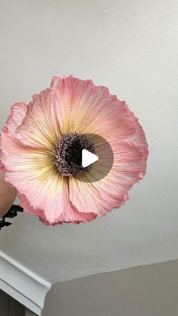 Coffee Filter Poppy Flowers, Poppy Paper Flowers, Making Poppies, Poppy Petals, Handmade Flowers Tutorial, Crepe Paper Flowers Tutorial, Paper Projects Diy, Crepe Paper Flowers Diy, Paper Flowers Diy Easy