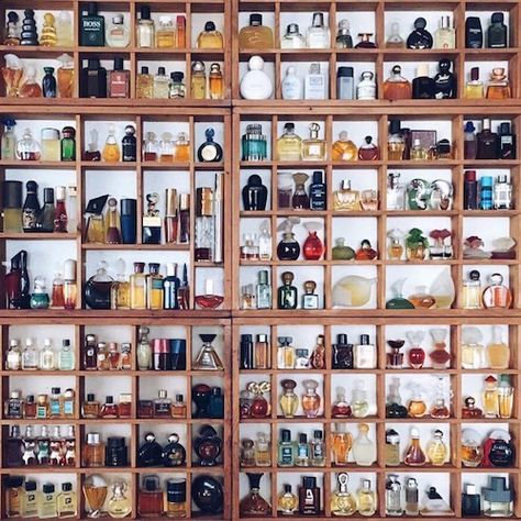 Perfume Collection Display Ideas, Mini Perfume Collection, Perfume Bottle Collection, Perfume Collection Display, Collection Perfume, Penyimpanan Makeup, Designer Perfumes, Perfume Storage, Miniature Perfume