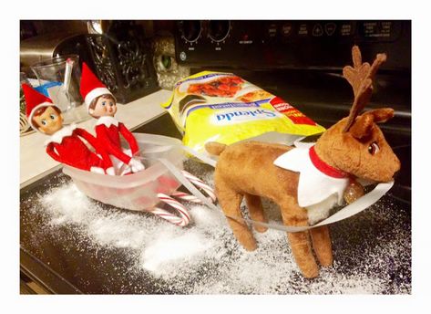 Elf And Rain Deer, Elf On Shelf Ideas With Elf Pets, Elf On Shelf Ideas With Reindeer, How To Introduce Elf On The Shelf Reindeer, Elf On The Shelf With Raindeer Ideas, Elf On The Shelf With Elf Pets, Elf And Pets Ideas, Introducing New Elf Pet, Reindeer On The Shelf Ideas