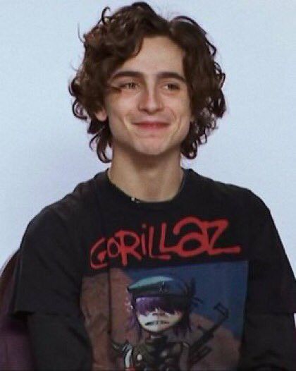 Gorillaz Shirt, Little Women, Gorillaz, Timothee Chalamet, Interstellar, Curly Hair, London, Hair, Black