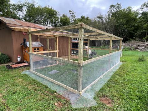 What To Put In Bottom Of Chicken Coop, T Post Chicken Run, Chicken Run Addition, Chicken Run Fence, Chicken Run Floor, Chicken Run Diy, Backyard Chickens Diy, Chicken Run Ideas, Backyard Coop