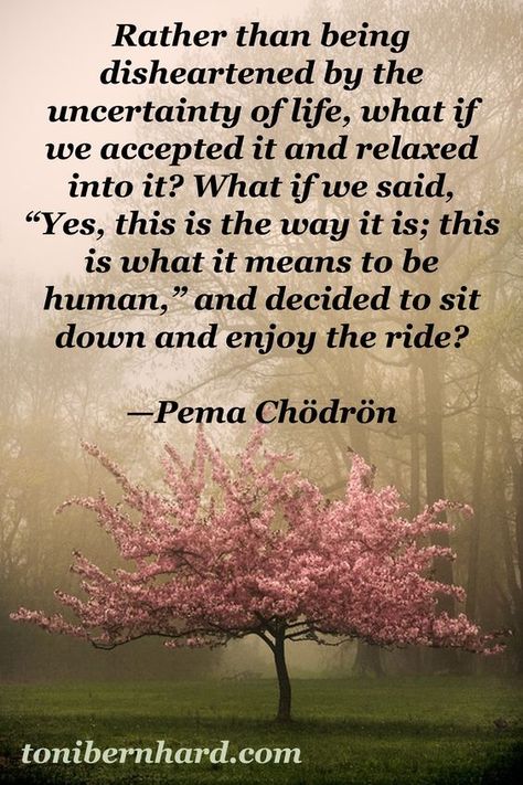 What if rather than being disheartened by the ambiguity, the uncertainty of life, we accepted it and relaxed into it? - What if we said, Yes this is the way it i; this is what it means to be hmuan, and decided to sit down and enjoy the ride. - Pema Chodron #life #uncertainty #acceptance #relaxation #enjoyment Disheartened Quotes, Aging Quotes Funny, Age Quotes Funny, Aging Gracefully Quotes, Getting Older Quotes, Pema Chödrön, Getting Older Humor, Super Soul Sunday, Cute Text Quotes