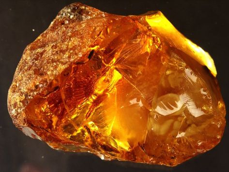 Cilibar (amber) - Virily Beautiful Rocks, Mineral Stone, Amber Stone, Rocks And Gems, Minerals And Gemstones, Energy Crystals, Gems And Minerals, Healing Stone, Crystal Gems