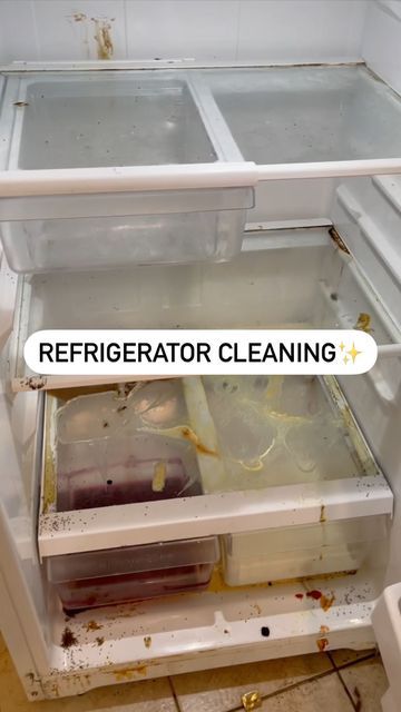 Deep Cleaning Refrigerator, Deep Clean Refrigerator, Clean Refrigerator Hacks, Cleaning Refrigerator Hacks, Refrigerator Cleaning Hacks, Thomasville Ga, Clean Refrigerator, Clean Fridge, Dawn Dish Soap