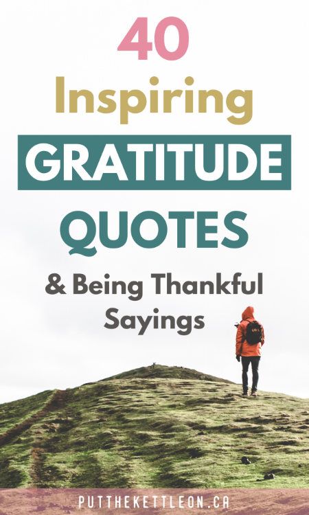 Words Of Gratitude Be Thankful, Quotes Of Appreciation, Words Of Appreciation And Thanks Quotes, Blessings Quotes Thankful, Thankful Sayings, Be Grateful Quotes, Gratitude Sayings, Grateful Thankful Blessed Quotes, Grateful Quotes Gratitude