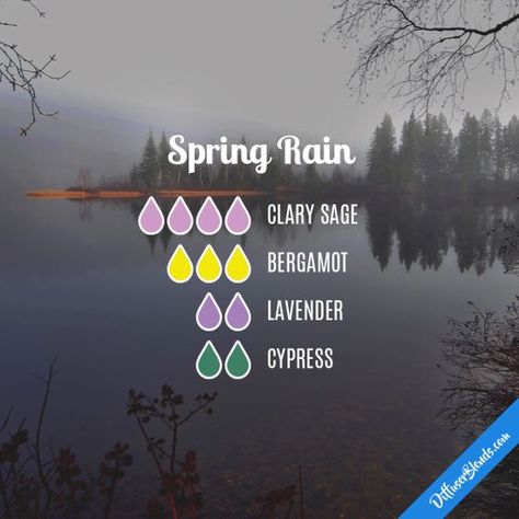 Spring Rain Diffuser Blend Lavender Oil Benefits, Essential Oils Diffuser Blends, Essential Oil Diffuser Blends Recipes, Essential Oils Diffuser, Essential Oil Diffuser Recipes, Oil Diffuser Recipes, Essential Oil Mixes, Yl Essential Oils, Diy Kosmetik