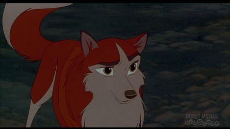 Balto Movie, Balto Jenna, Tundra Wolf, Balto Film, Balto And Jenna, Wolf People, Dog Movies, Film Anime, Real Dog