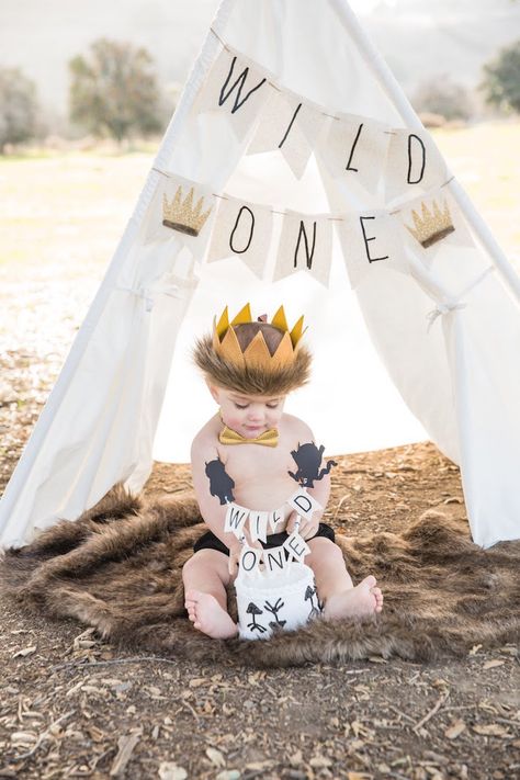 Wild One Smash Cake, Wild Things Are Birthday Party, Wild Things Party, Boys First Birthday Party Ideas, Boys 1st Birthday Party Ideas, 1st Birthday Pictures, Baby Boy 1st Birthday Party, 1st Birthday Photoshoot, First Birthday Pictures