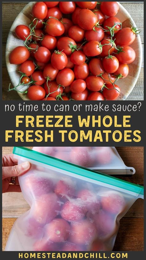 Freezing whole fresh tomatoes is a quick and easy way to preserve them. When you’re too busy (or too hot!) to spend hours over the stove making sauce or canning tomatoes, just pop them in the freezer instead! Follow these tips to learn the best way to freeze, thaw and use whole frozen tomatoes. #garden #preservingfood #urbanhomestead #tomatoes Freeze Fresh Tomatoes, Freeze Veggies, Freezing Produce, How To Freeze Tomatoes, Freeze Vegetables, Food Freezing, Freeze Fruit, Freezing Veggies, Freezing Recipes