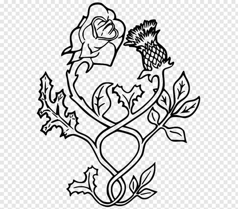 Rose Outline Tattoo, Thistle Scotland, Flower Tattoo Stencils, Rose Tattoo Stencil, Rose Outline, Rose Flower Tattoos, Rose Tattoo Sleeve, Stencil Outline, Tattoo Outline Drawing