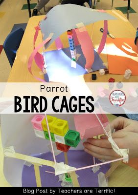 Second Grade STEM: Build a bird cage and the parrot that lives in it! Check this blog post for a book suggestion and materials list. Stem Bins, Stem Club, Steam Challenges, Teaching Stem, Steam Projects, 1st Grade Science, Engineering Challenge, Stem Crafts, Parrot Cage