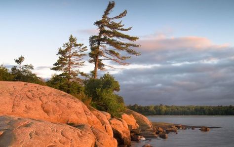 Georgian Bay Islands National Park, Ontario Provincial Parks, Ontario Parks, Algonquin Park, Lone Pine, Georgian Bay, Bay Photo, Parks Canada, Lake Huron