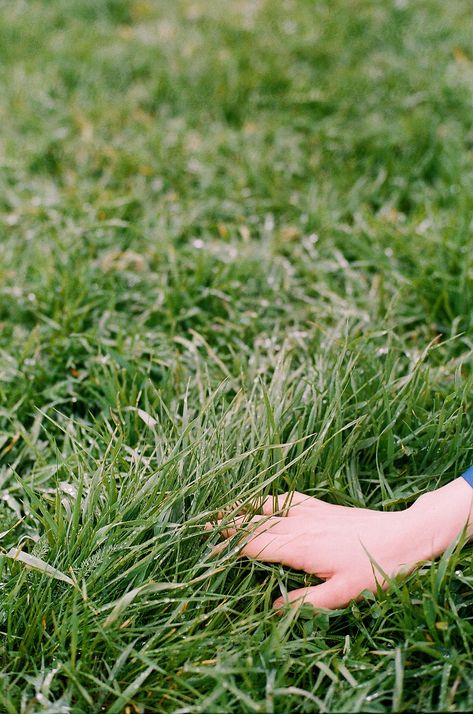 Touching Grass Aesthetic, Grass Aesthetic, Happy Birthday Clip, Nature Witch, Music Project, Scenery Photography, Photoshoot Themes, The Grass, Green Grass