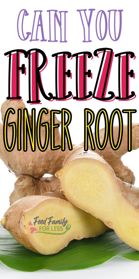 Things To Do With Ginger Root, What To Do With Fresh Ginger Root, What Is Ginger Root Good For, Ways To Use Ginger Root, Can You Freeze Ginger Root, How To Preserve Ginger Root, Preserve Ginger Root, How To Use Fresh Ginger Root, How To Grate Ginger Root