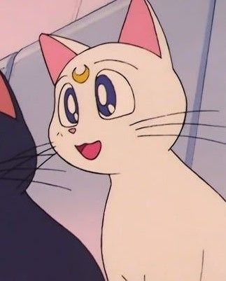 Follow @RallieChan Luna X Artemis, Luna Anime, Sailor Moon Cat, Luna And Artemis, Sailor Moon Luna, Sun Moon Stars, Matching Wallpaper, Sun And Stars, Phone Themes