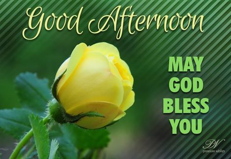 Good Afternoon Wishes Images, Good Afternoon Wishes, Afternoon Wishes, Afternoon Images, Tamil Bible Words, Good Afternoon Quotes, Afternoon Quotes, E Cards, Blessed Quotes